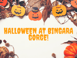 Halloween at Bingara Gorge