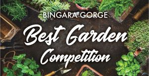 Bingara Best Garden Comp Feature Image