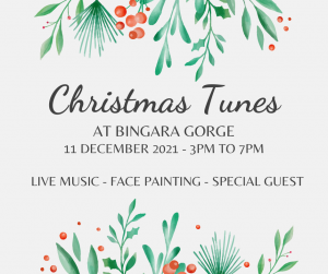 Christmas Tunes at Bingara Gorge