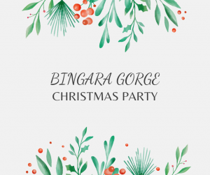 Bingara Gorge Christmas Party
